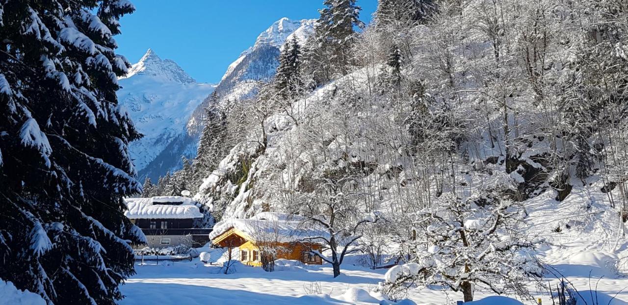 Chalet Sonnheim 罗孚尔 外观 照片
